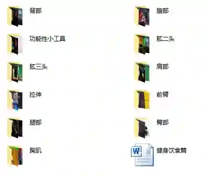 2019国内健身教程精选｜实战指南+限时揭秘-铁锚资源库