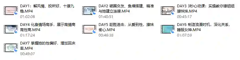 香草情感V3.0实战指南：老实人改造→一见钟情→肌肤之亲全流程揭秘-铁锚资源库