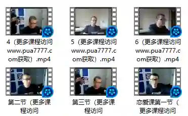 老景《找到人生的伴侣》实战指南：揭秘高效择偶心法-铁锚资源库