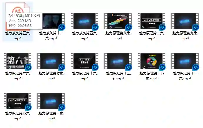 柯李思Chris良叔《魅力原理》实战指南|限时揭秘专属魅力公式-铁锚资源库