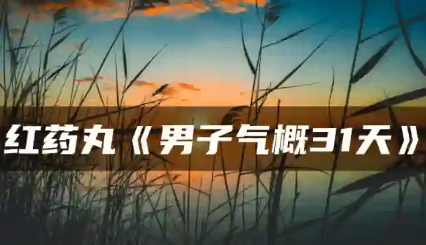 红色药丸《男子气概31天》实战指南：限时揭秘专属成长路径-铁锚资源库