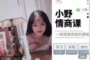 七分学堂《导师案例课：小白0基础实战指南》-铁锚资源库