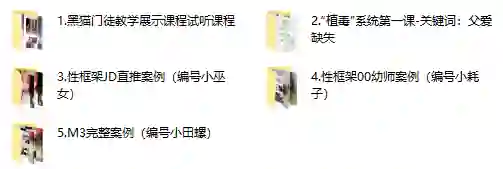 黑猫门徒核心课实战指南：限时揭秘专属成长路径-铁锚资源库