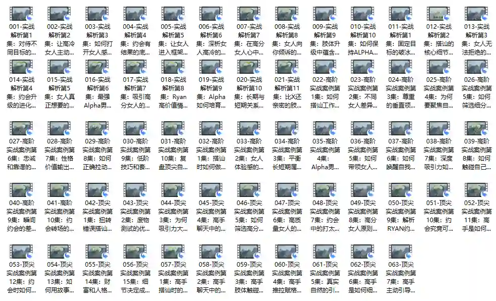 瑞恩自然之道Plus实战指南|价值12800元专属揭秘版【完结】-铁锚资源库