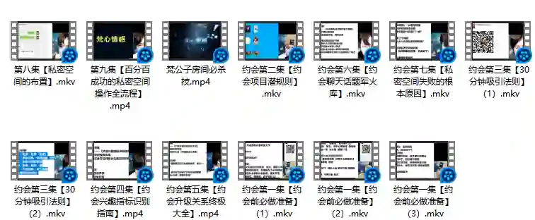 梵公子《约会加速器》实战指南：揭秘高效脱单核心技巧-铁锚资源库