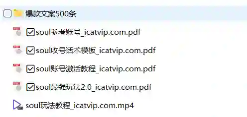 Soul最新玩法实战指南：500条爆款文案限时揭秘-铁锚资源库