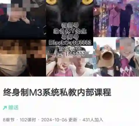 黑猫《终身制M3系统私教内部课程》-铁锚资源库