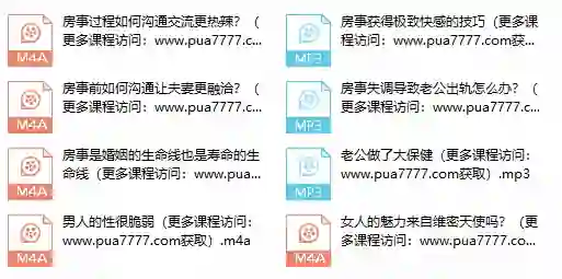朱身勇《夫妻房事管理》实战指南：限时揭秘专属亲密关系升级法-铁锚资源库