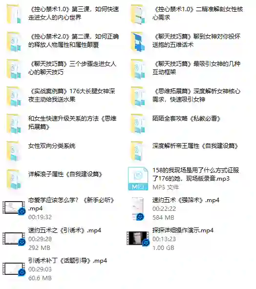 私教专属实战指南：魅男方法V3.0揭秘-铁锚资源库