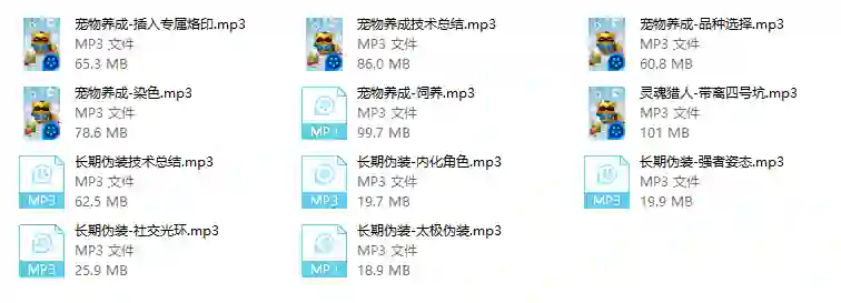 猎人技术实战指南｜2024最新版限时揭秘+专属资源-铁锚资源库