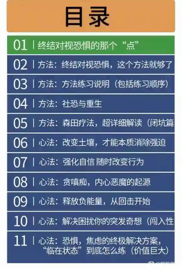 对视无惧实战指南|新课首发:专治对视恐惧,方法+心法全揭秘-铁锚资源库