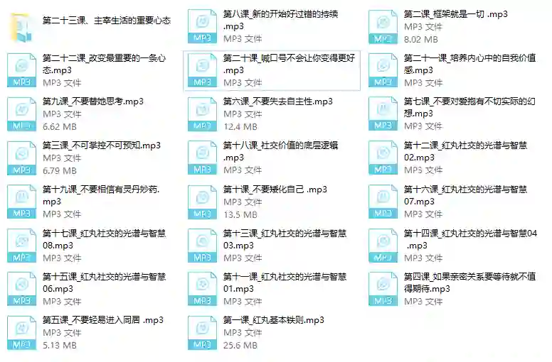 红丸实战指南:十大人生法则限时揭秘-铁锚资源库