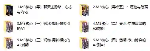 黑猫《谜男M3核心课程》实战指南+独家案例揭秘-铁锚资源库