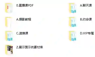91大神VIP实战指南:全套课程限时揭秘+专属福利-铁锚资源库