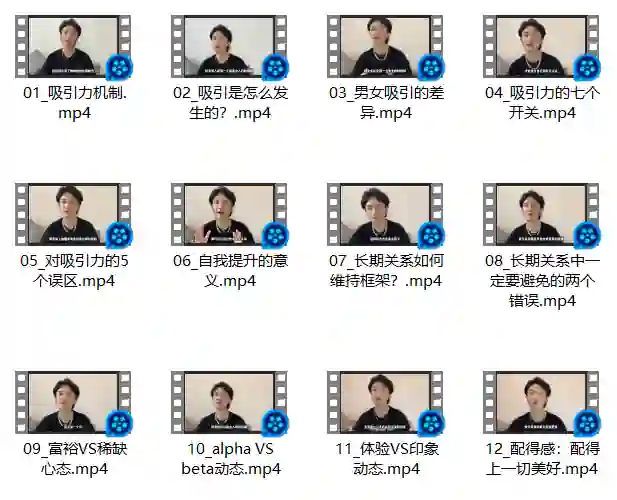 图片[2]-子轩《打造男性吸引力：从Beta到Alpha》-铁锚资源库