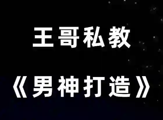 图片[2]-王哥私教课V3.0｜实战情感指南·限时解锁专属成长秘籍-铁锚资源库