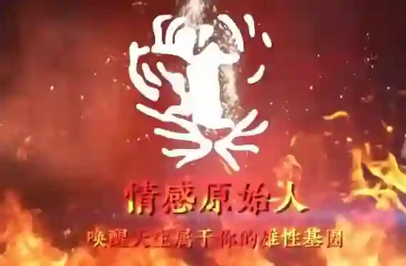 火种情感《情感原始人》实战指南：揭秘原始吸引力法则-铁锚资源库