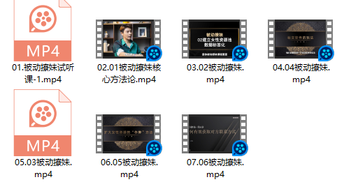 子轩被动撩妹实战指南(7节)|限时解锁专属魅力法则-铁锚资源库